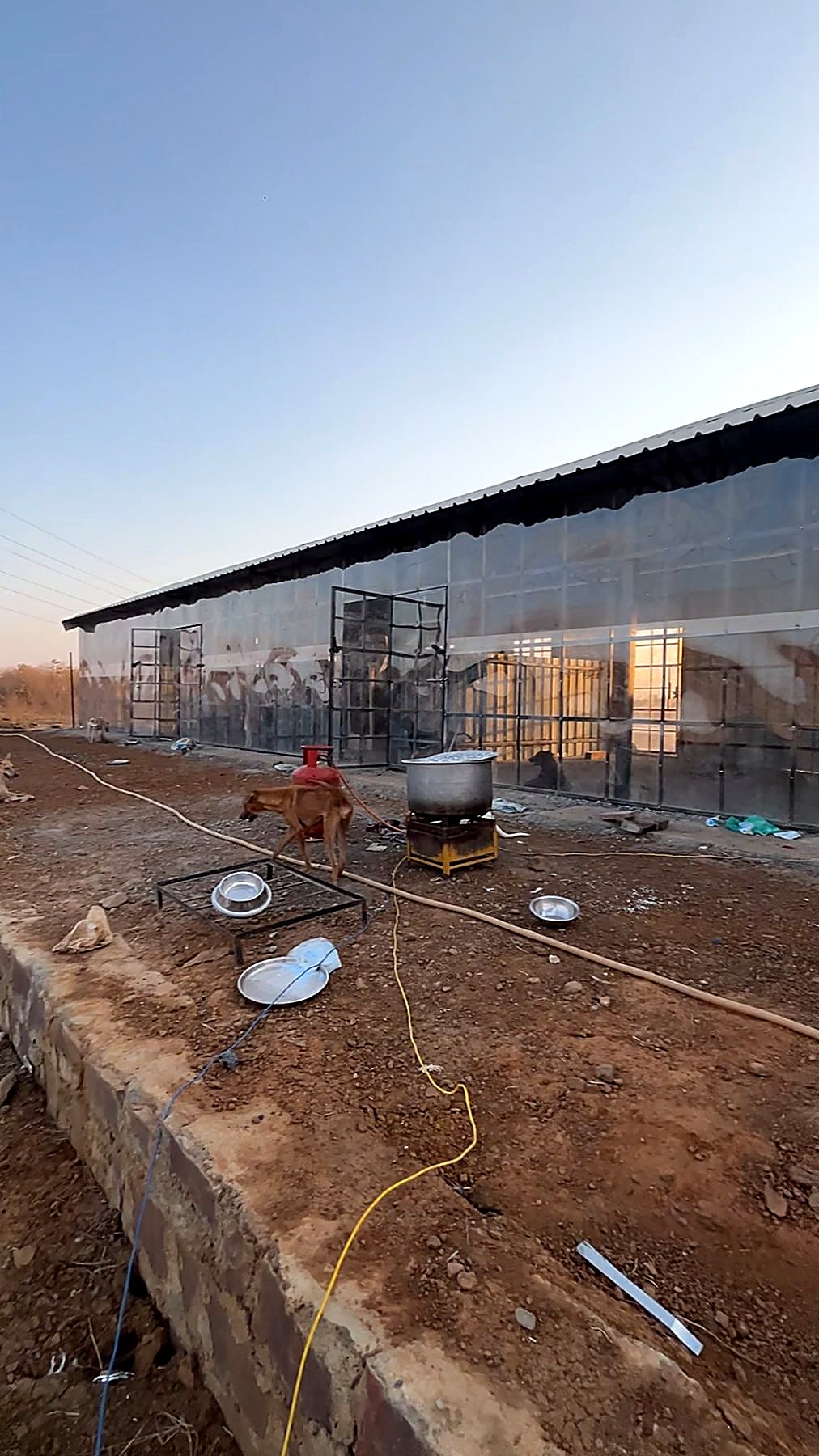 A dog beside the daily cooking setup at the shelter
