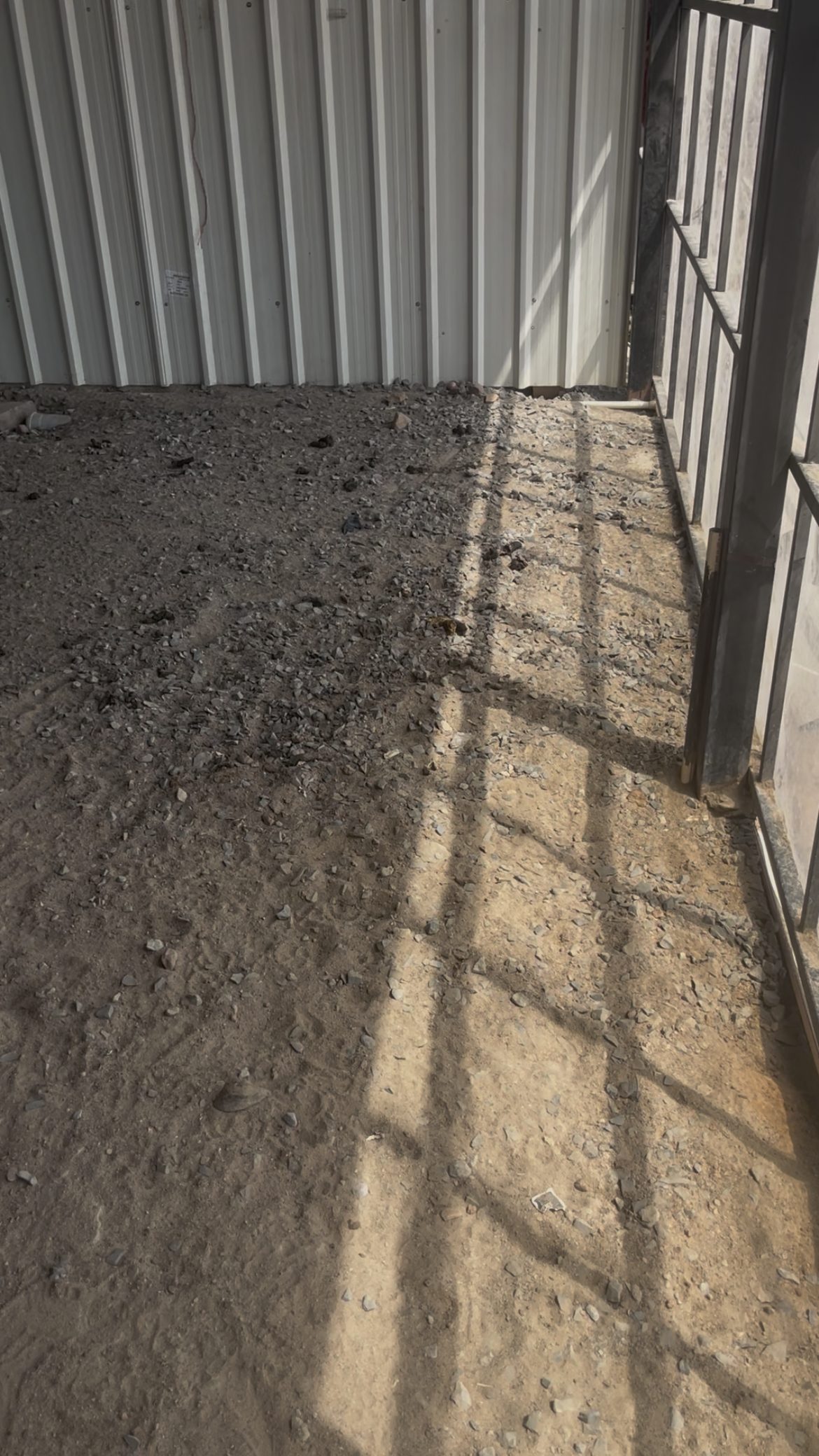 The unfinished, rough floor that still wounds the paralysed dogs