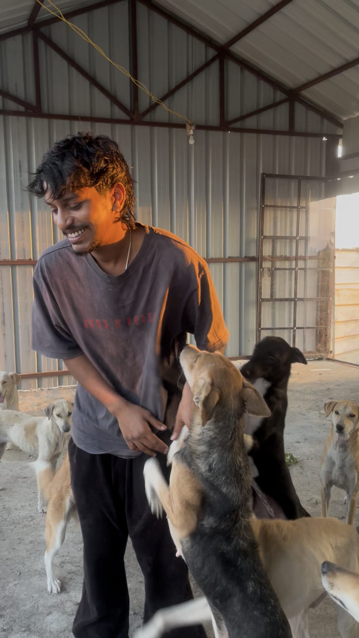 A moment of pure joy with the rescued dogs at home